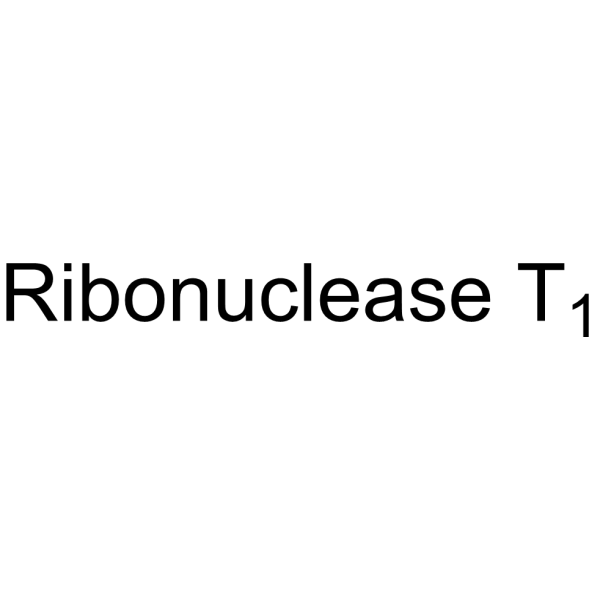 Ribonuclease T1 (Rnase T1) 9026-12-4
